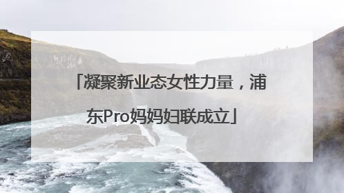 凝聚新业态女性力量，浦东Pro妈妈妇联成立