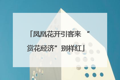 凤凰花开引客来 “赏花经济”别样红
