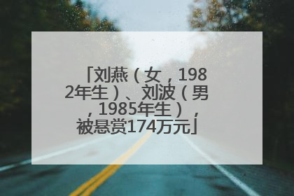 刘燕（女，1982年生）、刘波（男，1985年生），被悬赏174万元