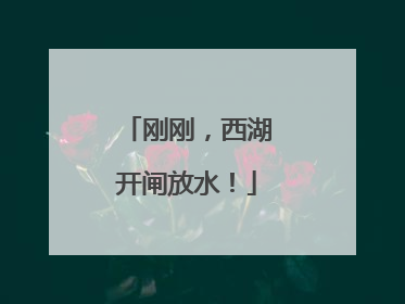 刚刚，西湖开闸放水！
