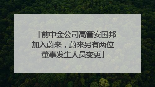 前中金公司高管安国邦加入蔚来，蔚来另有两位董事发生人员变更