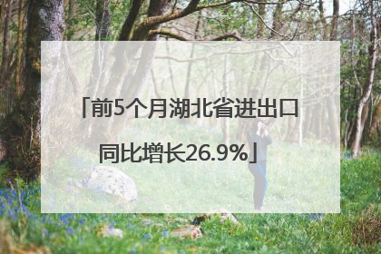 前5个月湖北省进出口同比增长26.9%