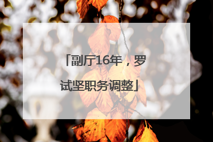 副厅16年，罗试坚职务调整