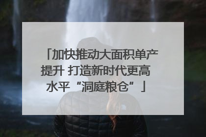 加快推动大面积单产提升 打造新时代更高水平“洞庭粮仓”