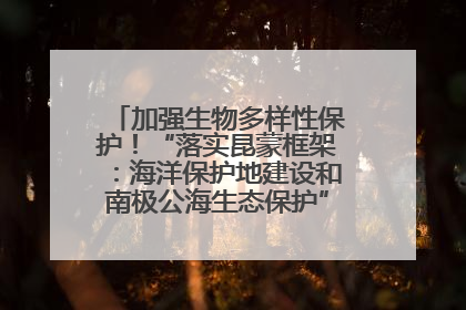 加强生物多样性保护！“落实昆蒙框架：海洋保护地建设和南极公海生态保护”主题论坛将举办