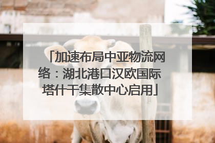 加速布局中亚物流网络：湖北港口汉欧国际塔什干集散中心启用