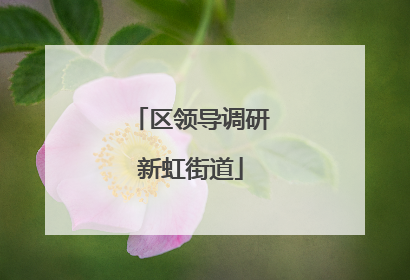 区领导调研新虹街道