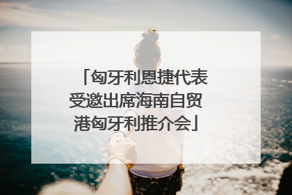 匈牙利恩捷代表受邀出席海南自贸港匈牙利推介会