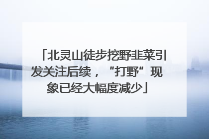 北灵山徒步挖野韭菜引发关注后续，“打野”现象已经大幅度减少