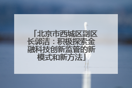 北京市西城区副区长郭洁：积极探索金融科技创新监管的新模式和新方法