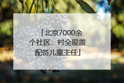 北京7000余个社区、村全覆盖配备儿童主任