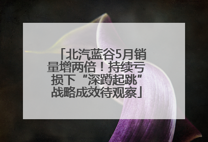 北汽蓝谷5月销量增两倍！持续亏损下“深蹲起跳”战略成效待观察
