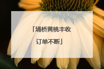 埇桥黄桃丰收 订单不断