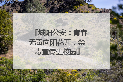 城阳公安：青春无毒向阳花开，禁毒宣传进校园