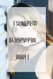 吴毓舟带队到西坪镇调研