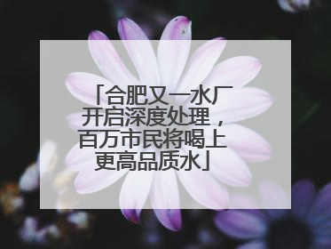 合肥又一水厂开启深度处理，百万市民将喝上更高品质水
