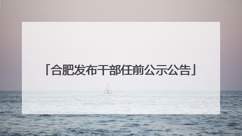 合肥发布干部任前公示公告