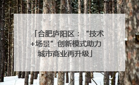 合肥庐阳区：“技术+场景”创新模式助力城市商业再升级