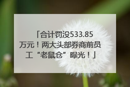 合计罚没533.85万元！两大头部券商前员工“老鼠仓”曝光！
