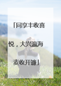 同享丰收喜悦，大兴瀛海麦收开镰
