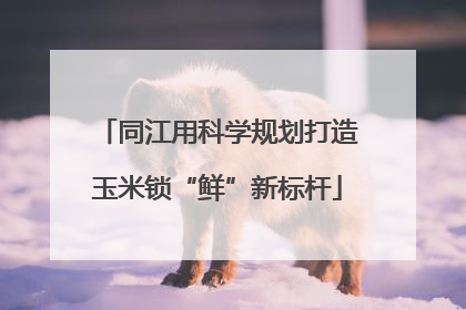 同江用科学规划打造玉米锁“鲜”新标杆
