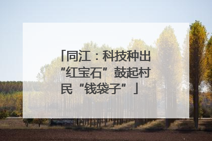 同江：科技种出“红宝石”鼓起村民“钱袋子”