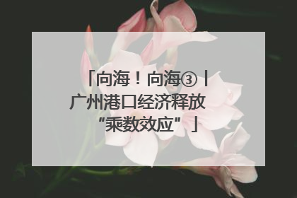 向海！向海③丨广州港口经济释放“乘数效应”