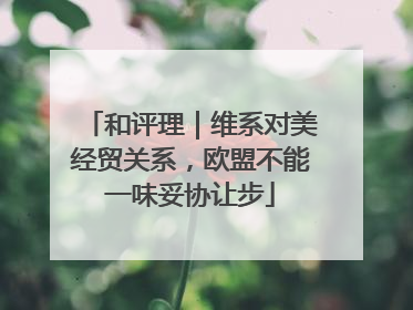 和评理｜维系对美经贸关系，欧盟不能一味妥协让步