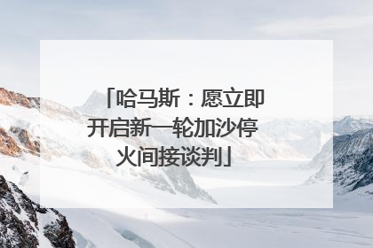 哈马斯：愿立即开启新一轮加沙停火间接谈判