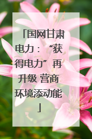国网甘肃电力：“获得电力”再升级 营商环境添动能