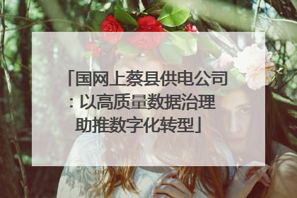 国网上蔡县供电公司：以高质量数据治理 助推数字化转型