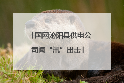 国网泌阳县供电公司闻“汛”出击