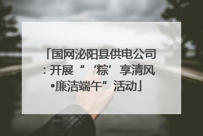 国网泌阳县供电公司：开展“‘粽’享清风 •廉洁端午”活动