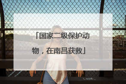 国家二级保护动物，在南昌获救