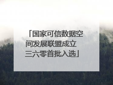 国家可信数据空间发展联盟成立 三六零首批入选