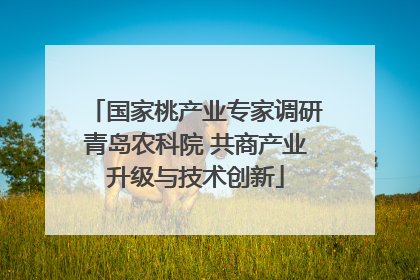 国家桃产业专家调研青岛农科院 共商产业升级与技术创新
