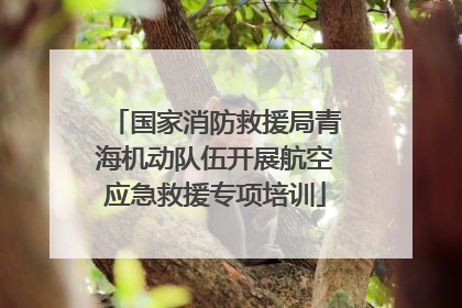 国家消防救援局青海机动队伍开展航空应急救援专项培训