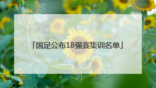 国足公布18强赛集训名单