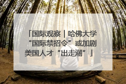 国际观察｜哈佛大学“国际禁招令”或加剧美国人才“出走潮”