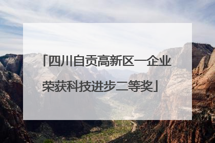 四川自贡高新区一企业荣获科技进步二等奖