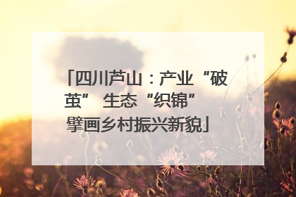 四川芦山：产业“破茧” 生态“织锦” 擘画乡村振兴新貌