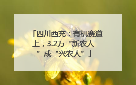 四川西充：有机赛道上，3.2万“新农人”成“兴农人”