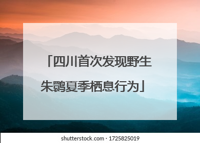 四川首次发现野生朱鹮夏季栖息行为
