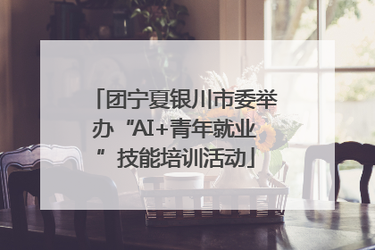 团宁夏银川市委举办“AI+青年就业”技能培训活动