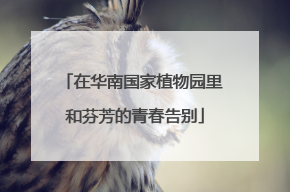 在华南国家植物园里和芬芳的青春告别