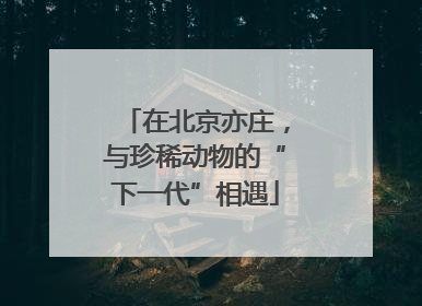 在北京亦庄，与珍稀动物的“下一代”相遇