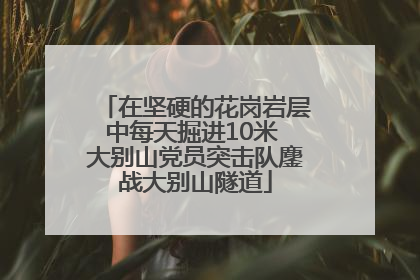 在坚硬的花岗岩层中每天掘进10米 大别山党员突击队鏖战大别山隧道