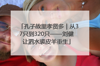 孔子故里孝贤多｜从37只到320只——刘健让泗水裘皮羊重生