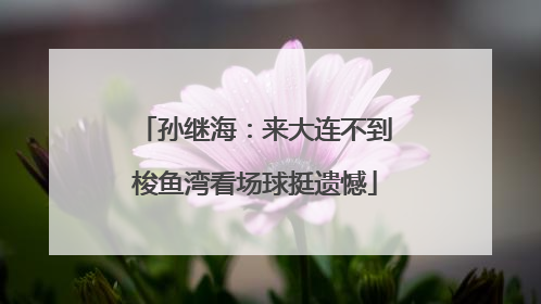 孙继海：来大连不到梭鱼湾看场球挺遗憾
