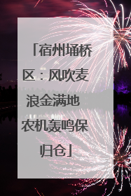 宿州埇桥区：风吹麦浪金满地 农机轰鸣保归仓